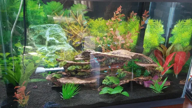 how to add gravel to an existing aquarium
