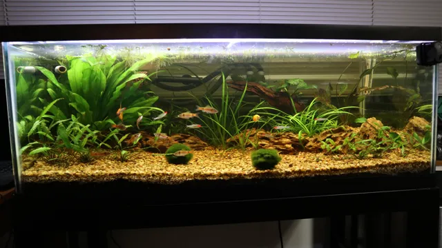 How to Add Gravel to Aquarium: Tips and Tricks for Successful Set-Up