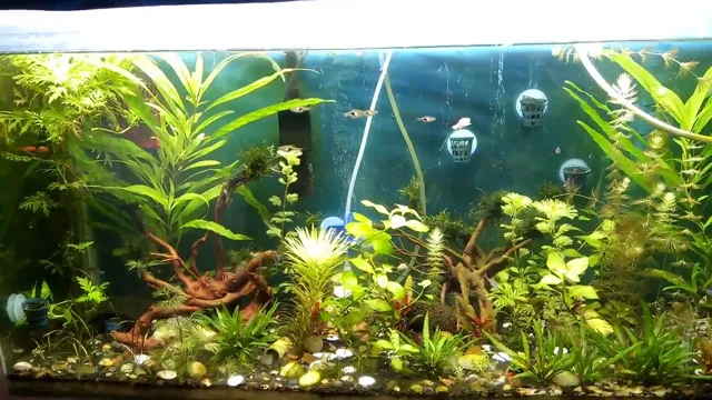how to add iron to soil for aquarium