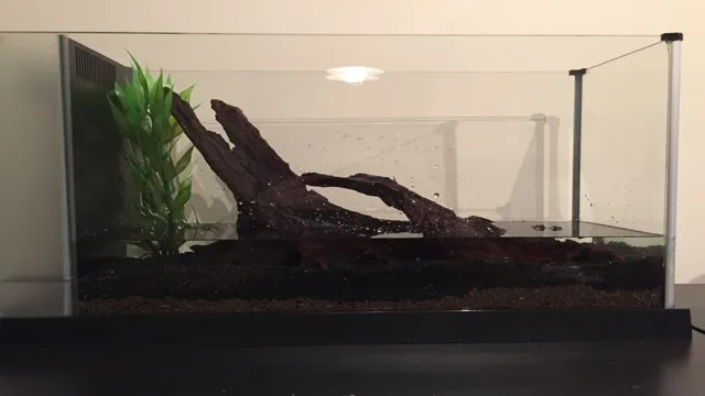 how to add live plants to an established aquarium