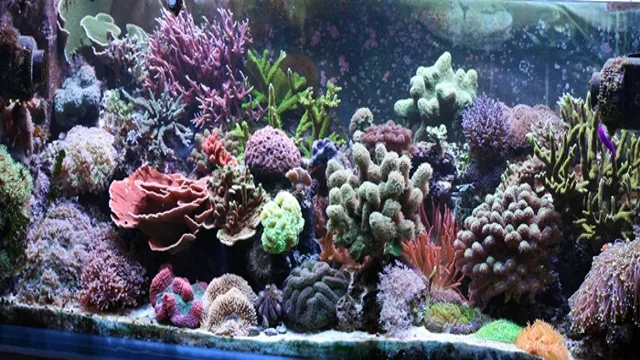 How to Add Live Rock to a Saltwater Aquarium: A Beginner’s Guide to Getting Started with Rock Aquascaping