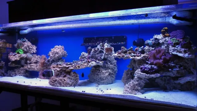 how to add live rock to aquarium