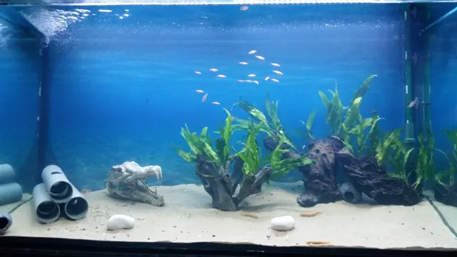 how to add live sand to new aquarium