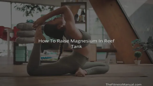 how to add magnesium to aquarium