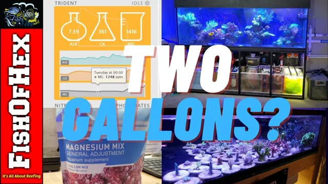 How to add manganese to aquarium: A complete guide for fish keepers