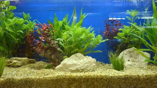 how to add more gravel to aquarium