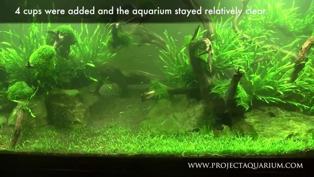 How to Add More Substrate to an Established Aquarium Marine for Better Growth and Health