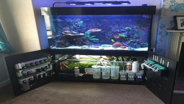 how to add multiple fish to aquarium