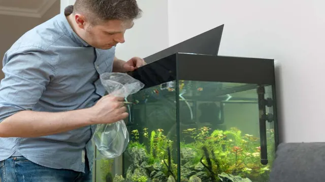 How to add multiple fish to aquarium: A beginner’s guide to creating a thriving underwater community