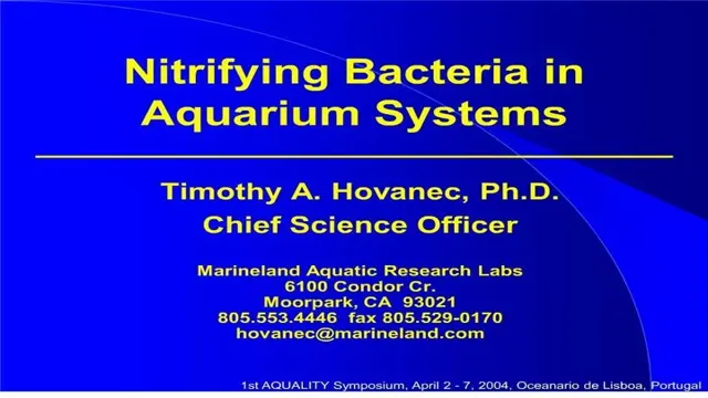 How to Add Nitrifying Bacteria to Aquarium for Optimal Water Quality