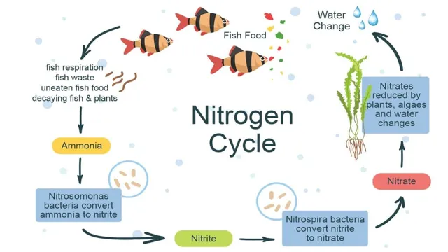 how to add nitrogen to aquarium