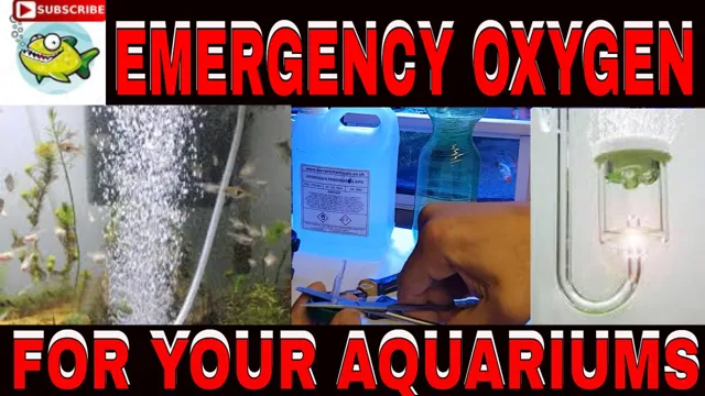 How to Add Oxygen to Aquarium Water: A Step-by-Step Guide for Better Fish Health