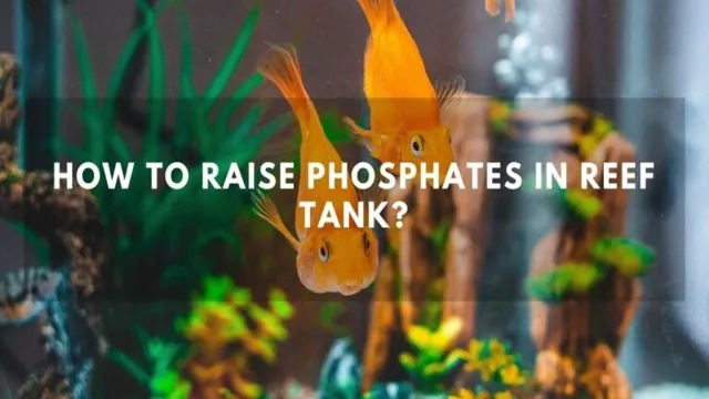 How to Add Phosphates to Aquarium: A Step-by-Step Guide for Optimal Growth