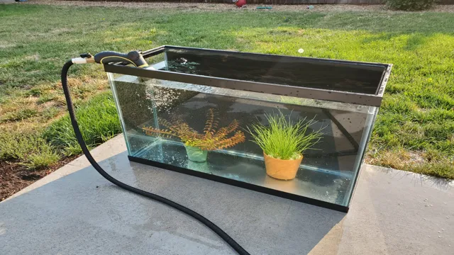 How to Add Plants to an Aquarium: A Beginner’s Guide to Enhancing your Tank’s Health and Aesthetic