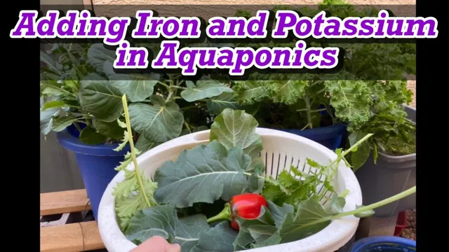 how to add potassium to freshwater aquarium
