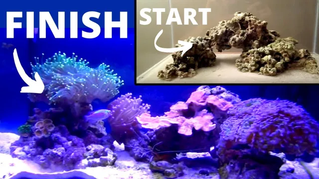 How to Add Salt to a Saltwater Aquarium: A Step-by-Step Guide for Beginners