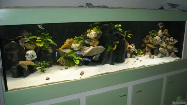 how to add sand to a full aquarium