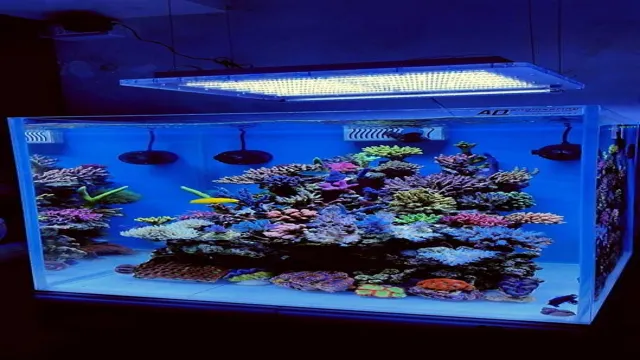 How to Add Sand to Saltwater Aquarium: A Step-by-Step Guide for Beginner Aquarium Enthusiasts