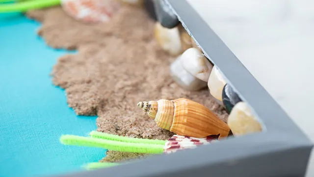 how to add seashells to aquarium