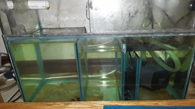 How to Add Sump to Aquarium: Expert Tips for Effortless Upgrade