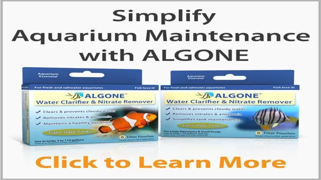 How to Adjust Aquarium Water pH: The Ultimate Guide for Beginners