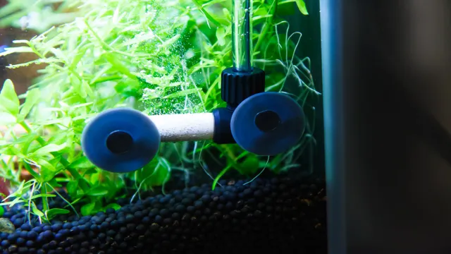 How to Adjust CO2 Rate in Your Aquarium to Ensure Optimal Plant Growth