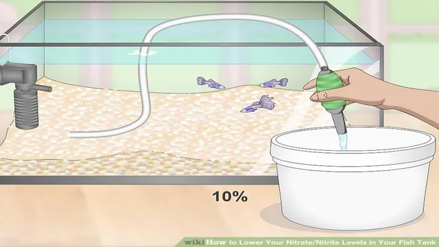 how to adjust nitrate level in aquarium