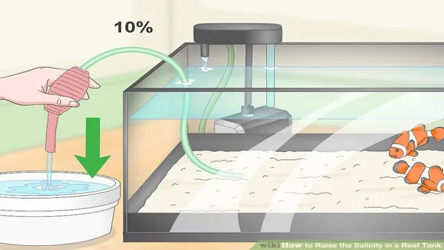 How to Adjust Salinity in Aquariums: A Guide for Beginners