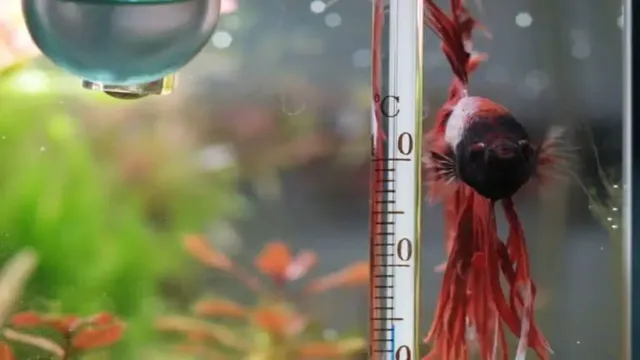 how to adjust thermometer in aquarium