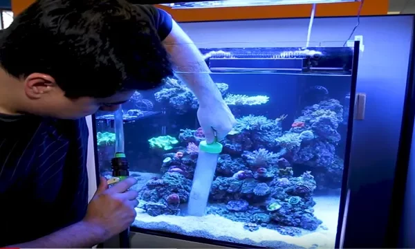 Aquariums lab How to Adjust Water Level in Aquarium: Step-by-Step…