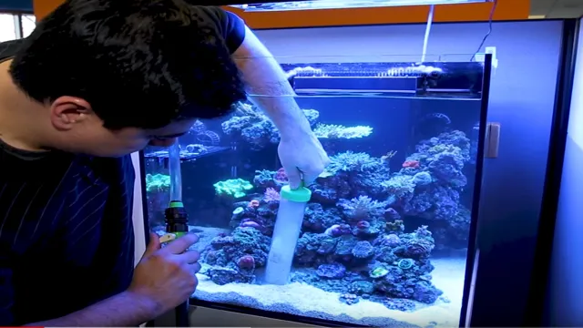 How to Adjust Water Level in Aquarium: Step-by-Step Guide for Perfect Water Balance