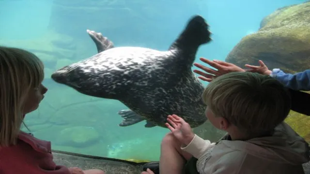 how to adopt animal oregon coast aquarium