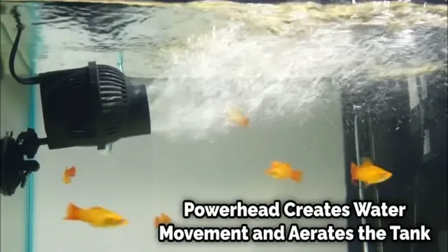 how to aerate a marine aquarium
