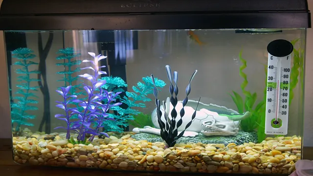 How to Aerate a Marine Aquarium for Optimal Fish Health: A Step-by-Step Guide