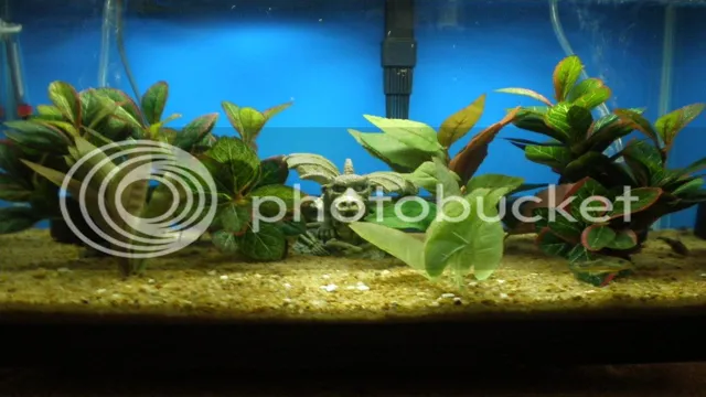 how to aerate aquarium sand