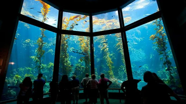 how to afford monterrey aquarium