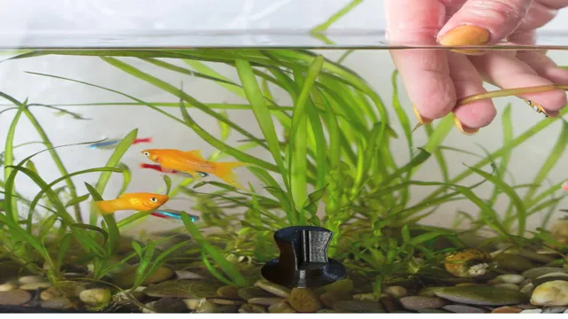 how to anchor an aquarium to the wall