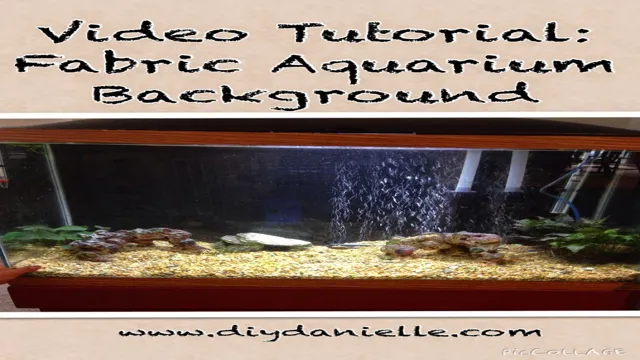 how to apply aquarium background on fish tank