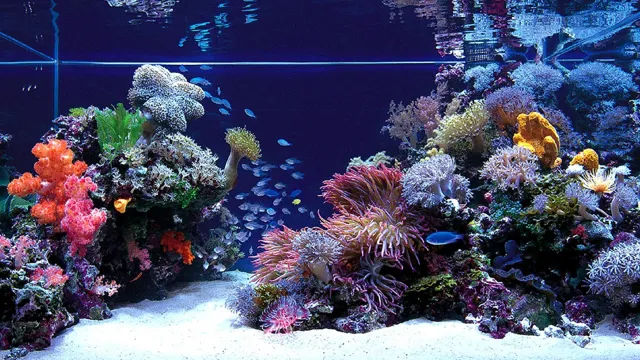 how to apply marina aquarium background