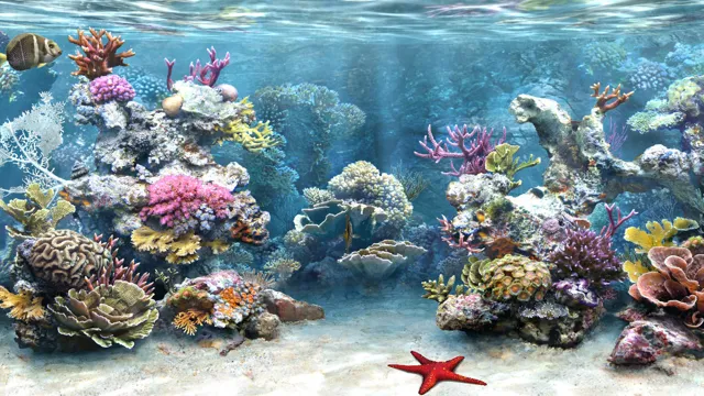 How to Apply Marina Aquarium Background: A Step-by-Step Guide to Enhance Your Aquatic Vibe