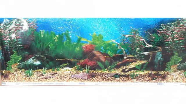 How to Apply Penn Plax Aquarium Background with Tape: A Step-by-Step Guide to Enhance Your Aquascape.