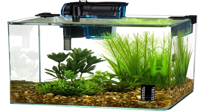 How to Apply Penn Plax Aquarium Background: Easy Step-by-Step Guide