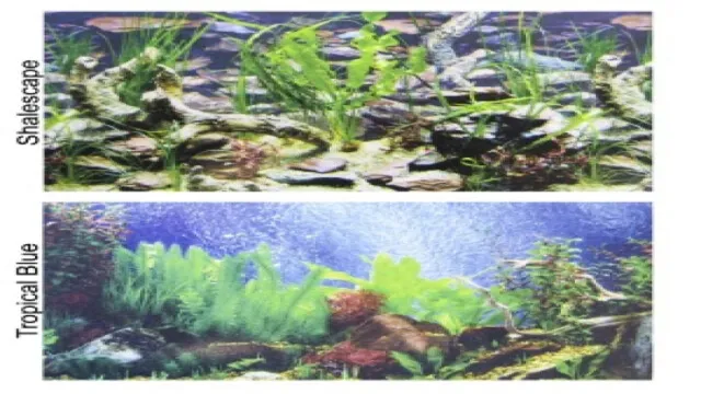 how to apply petco aquarium background