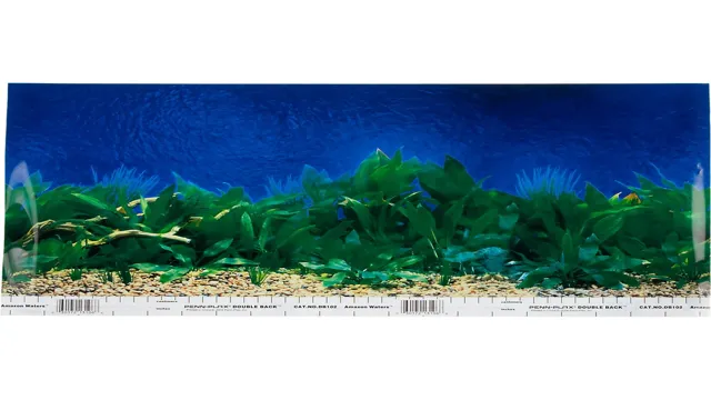 How to Apply Petco Aquarium Background: Step-by-Step Guide for a Stunning Fish Tank Look