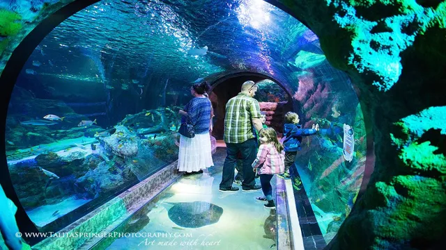 how to apply to work at fort worth aquarium