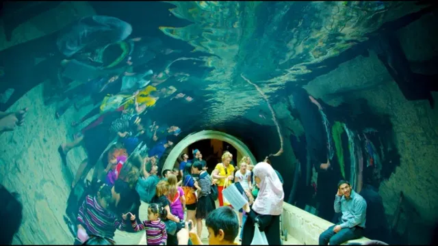 How to Apply to Work at Fort Worth Aquarium: Tips to Get Hired