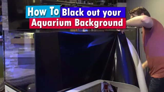 How to Apply Vinyl Aquarium Background: Step-by-Step Guide for Beginners