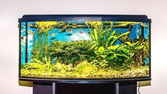 how to approximate aquarium weight