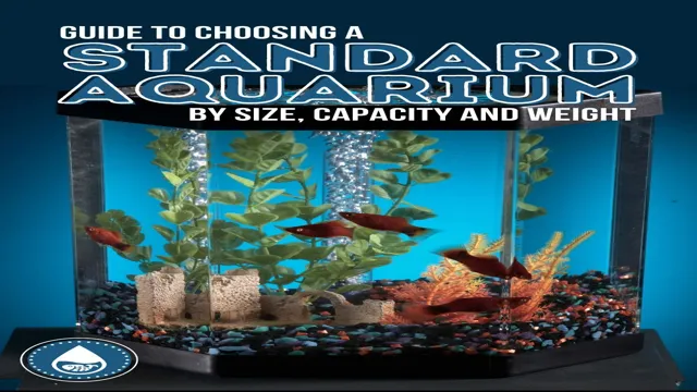 How to Approximate Aquarium Weight: A Comprehensive Guide on Calculation