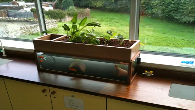 How to Aquaponics Aquarium: A Step-by-Step Guide for Beginners